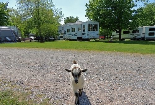 Gettysburg Farm Rv Campground Hotel Dover Exterior photo